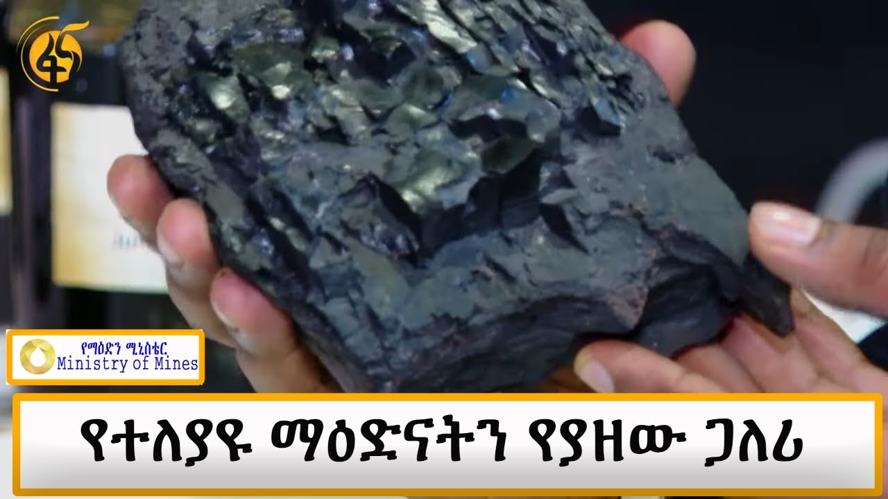 የተለያዩ ማዕድናትን የያዘው ጋለሪ