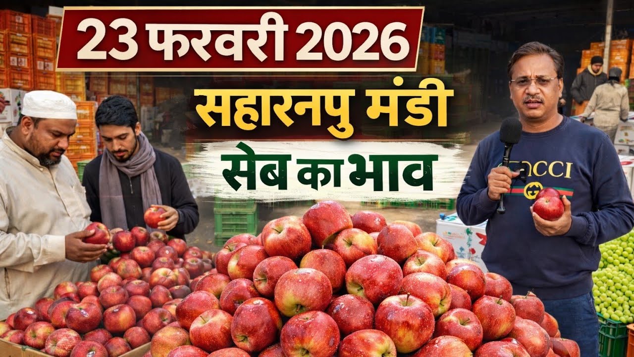 सहारनपुर मंडी में सेब का भाव। 23 February 2026