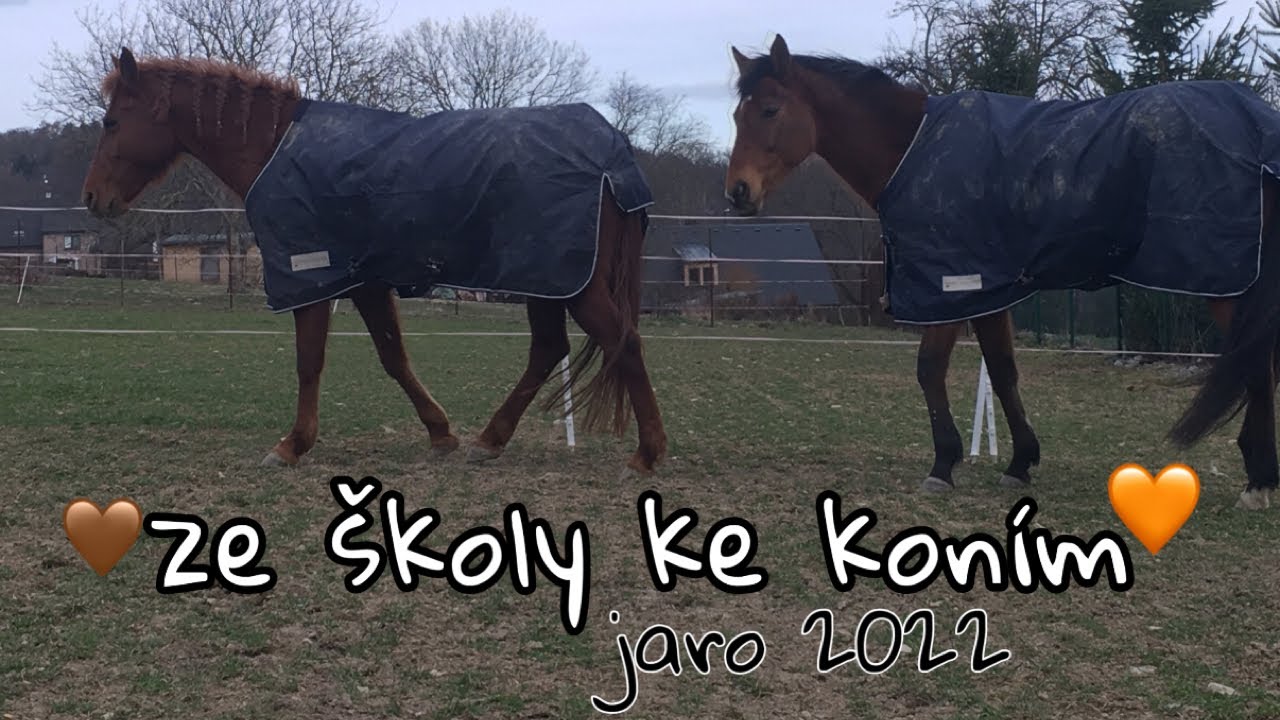 Můj školní den u koní! //EquiEli