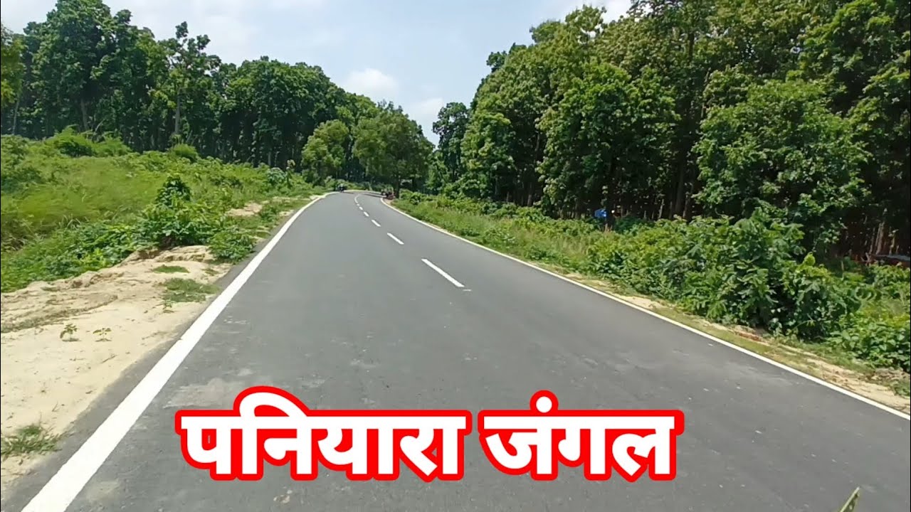 paniyara jungle,पनियारा जंगल ,motovlog up,paniyara Jungle Maharajganj |paniyara jungle,natva jungle