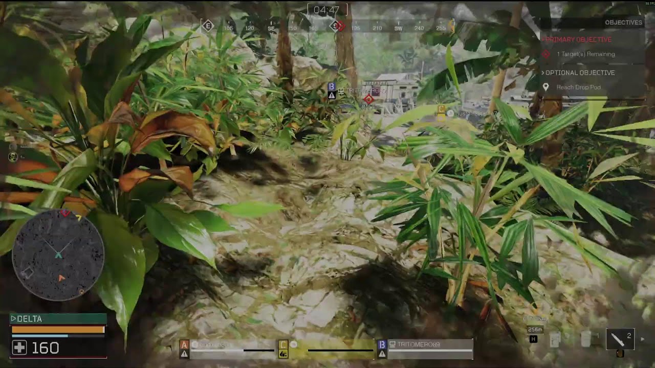 Predator Stream 02.02.26