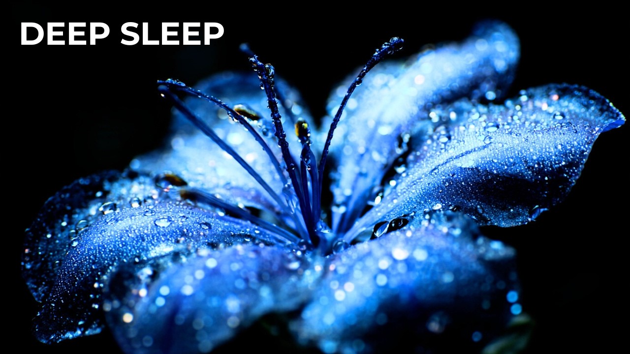 Heavy Rain Sounds for Deep Sleep 🌧️ 4 Hours of Intense Rain (No Music)🌙