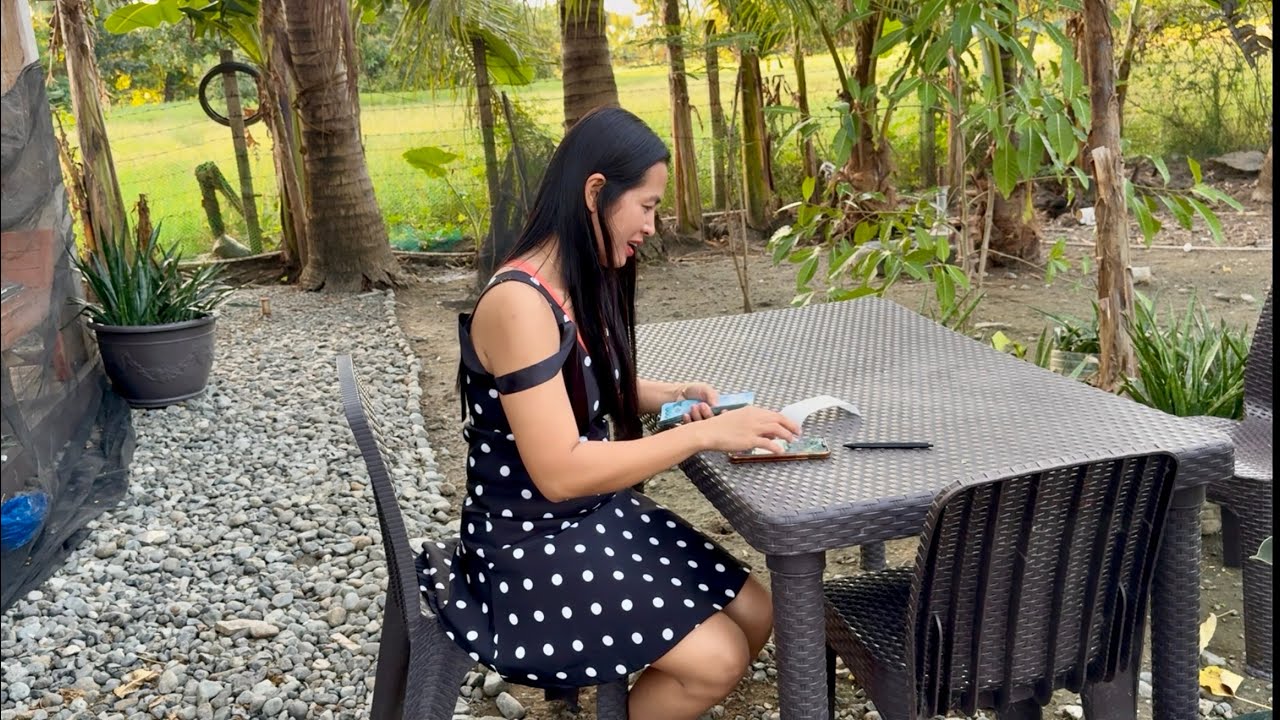 Matumal ngayon ang baboy dito sa lugar namin. 
