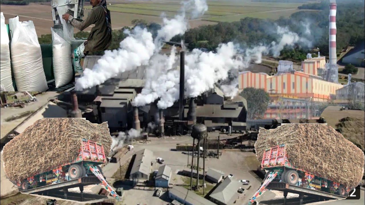 Sugar Cane Factory Visit Sugar mill in pakistan