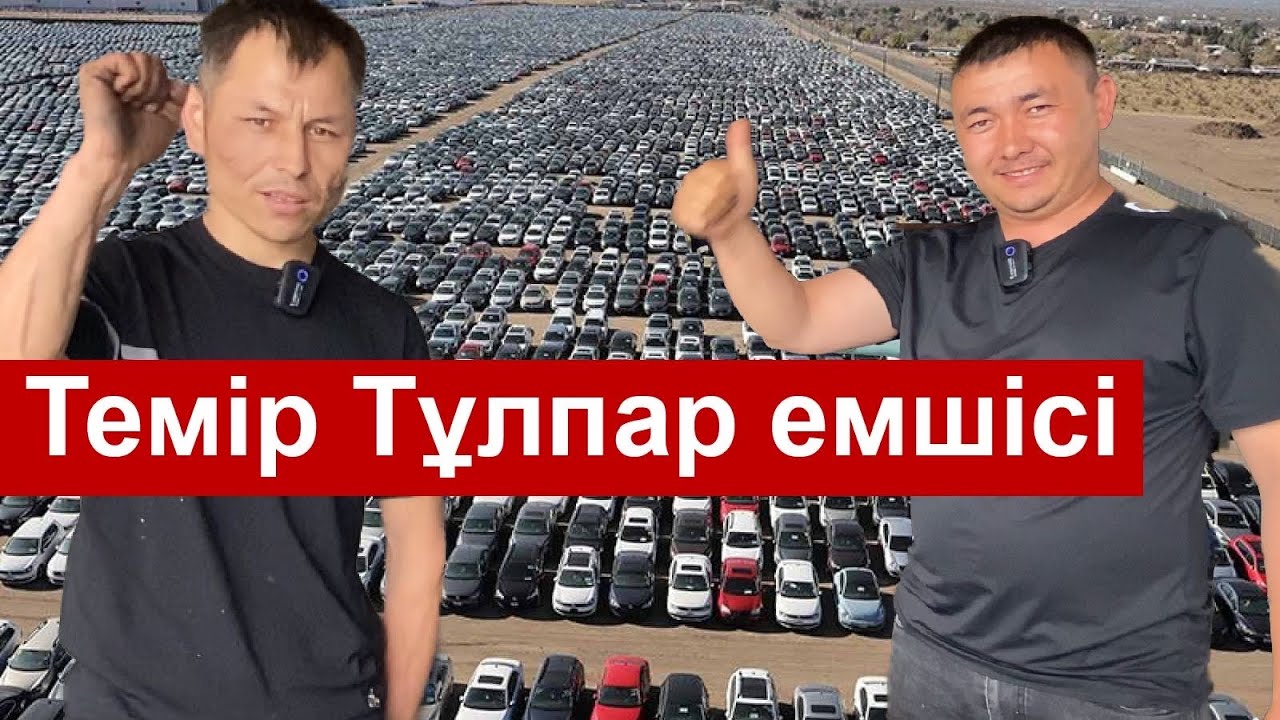 Темір Тұлпар емшісі (моторист) 4 сала ұсынады, Әр бір қазақ жалғызым,бір бірімізді қолдайық