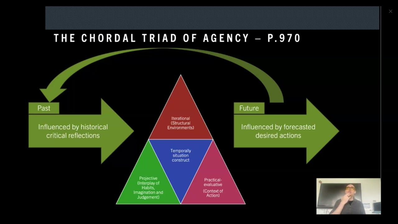 The Pinocchio Effect: case study report on the agentic capacity of HE in FE programme leaders