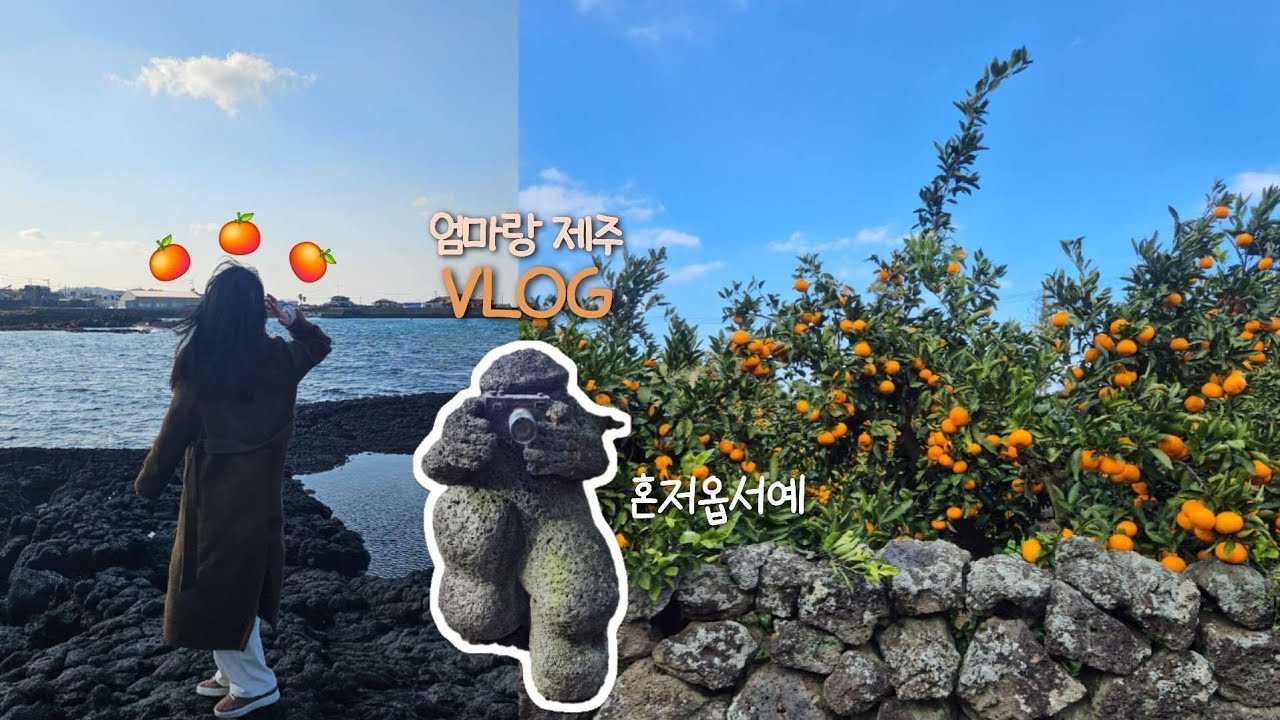 [VLOG] 늦가을에 엄마랑 다녀온 제주🍊