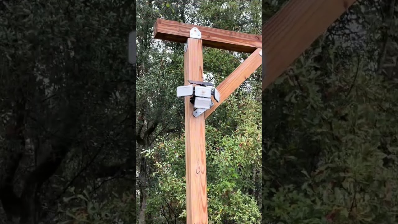 Brightest Solar Lights for Outdoor Adventures! #solarlights #solarfloodlight