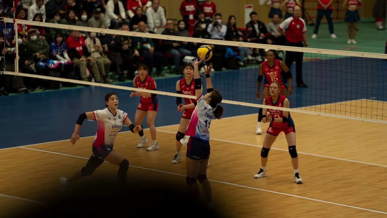 NECレッドロケッツ川崎 vs PFUブルーキャッツ石川かほく 【撮影画像全見せ スライドショー(3/4)】カルッツかわさき 2025/11/15