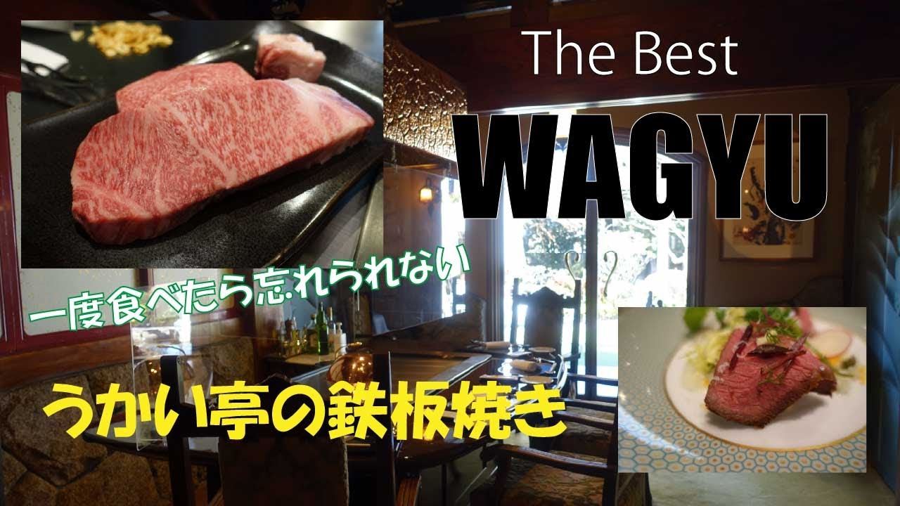 【横浜うかい亭】Amazing Wagyu Steak/Ukai/極上鉄板焼きを味わえるレストランうかい亭 うかい牛ステーキ/ Teppanyaki Japanese Restaurant/