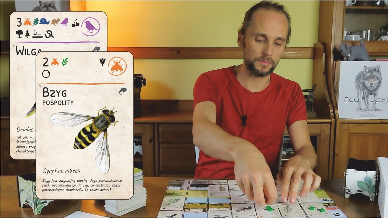 EcoLogic - prezentacja mechaniki i rozszerzenia