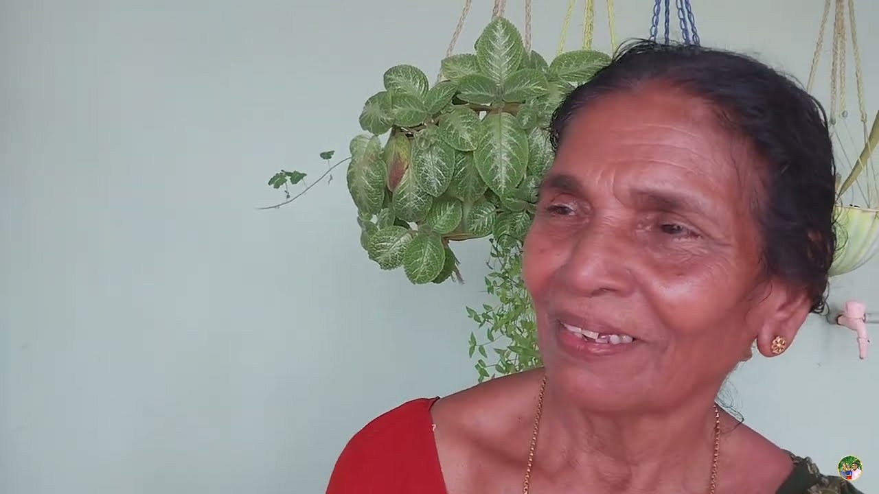 ലളിത ചേച്ചി വെറും 6 പശുക്കളെ കൊണ്ട് ₹125000 സമ്പാദിക്കുന്നു/കാരണമായി ചേച്ചി പറയുന്നത് ഇതാണ് #cow