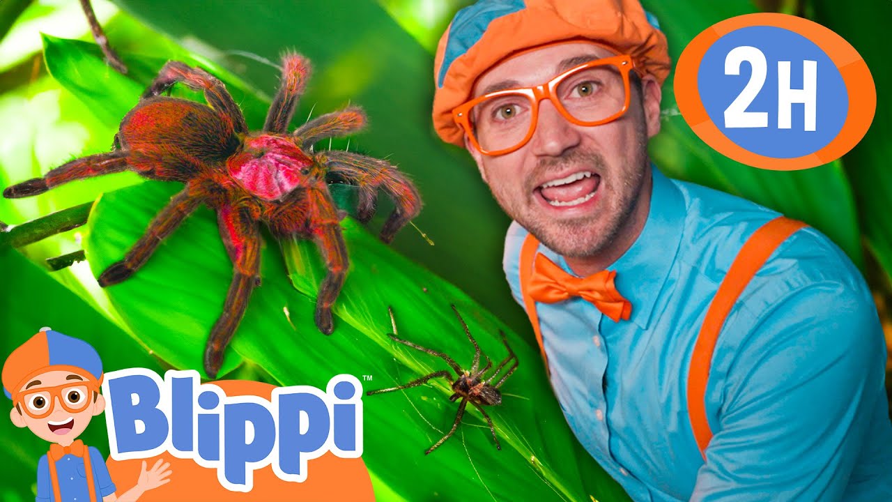 Blippi Explores A Spider Playground! |  Blippi and Meekah Best Friend Adventures | Educational Video