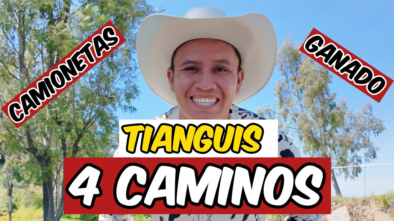VENTA de GANADO Y TROCAS, T&Iacute;ANGUIS 4 CAMINOS en  SAN ANDR&Eacute;S CALPAN, PUEBLA 🐎🤠 Muy BARATO