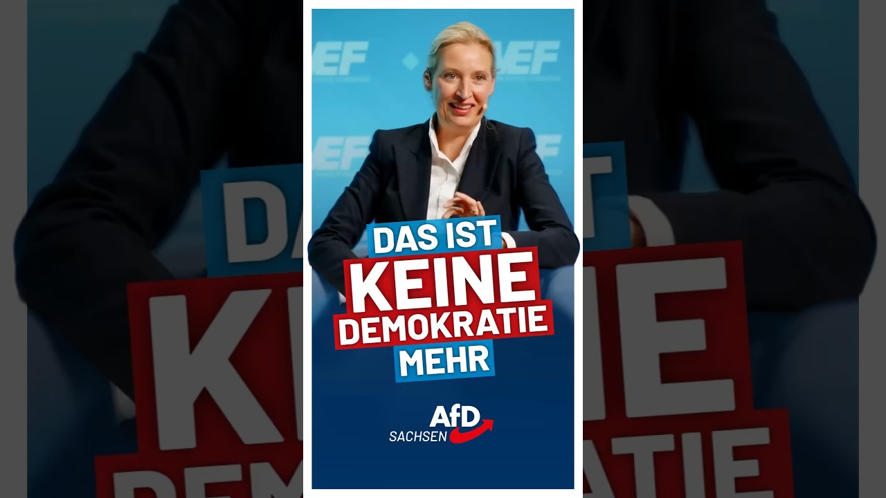 Das ist keine Demokratie mehr! Weidel 👍🏼 #afd #deutsch #deutschland #shorts #politik #europe #eu
