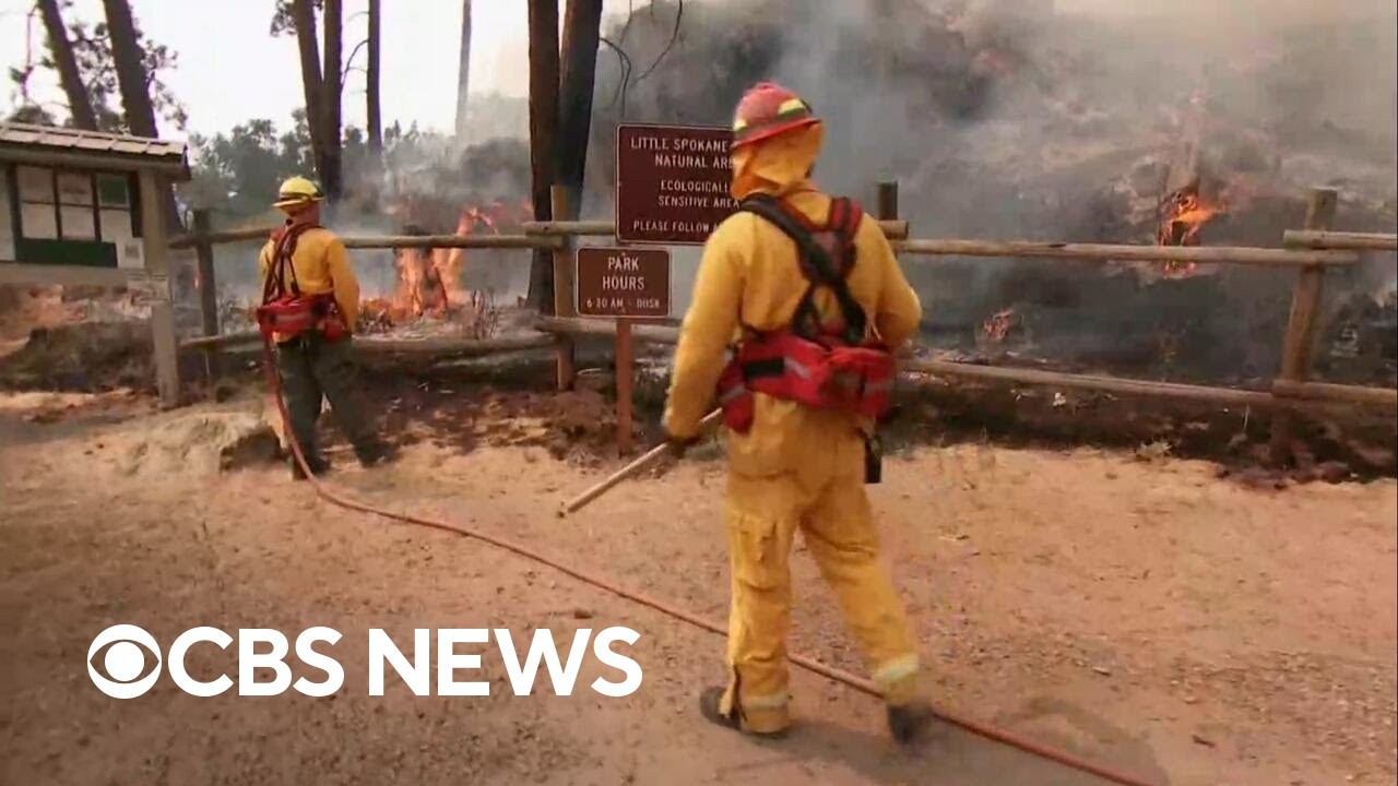 Washington wildfires 