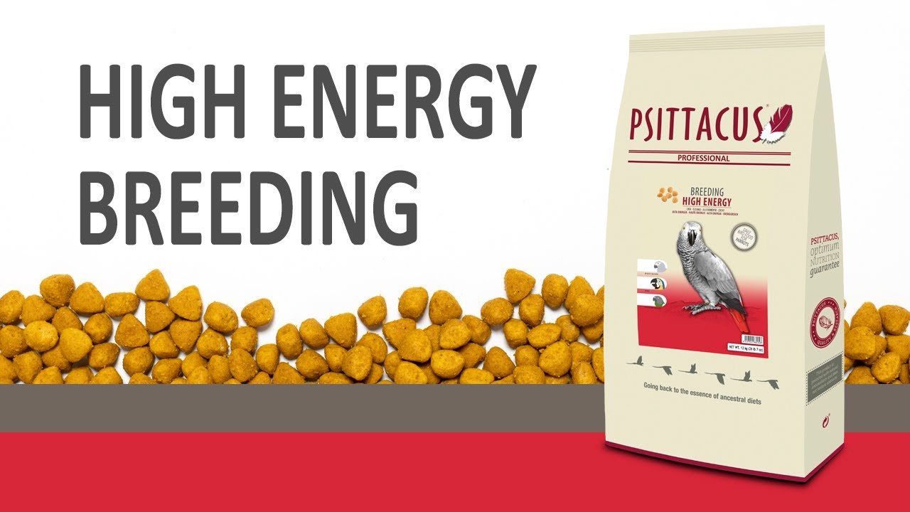 High Energy Breeding (Versión española)