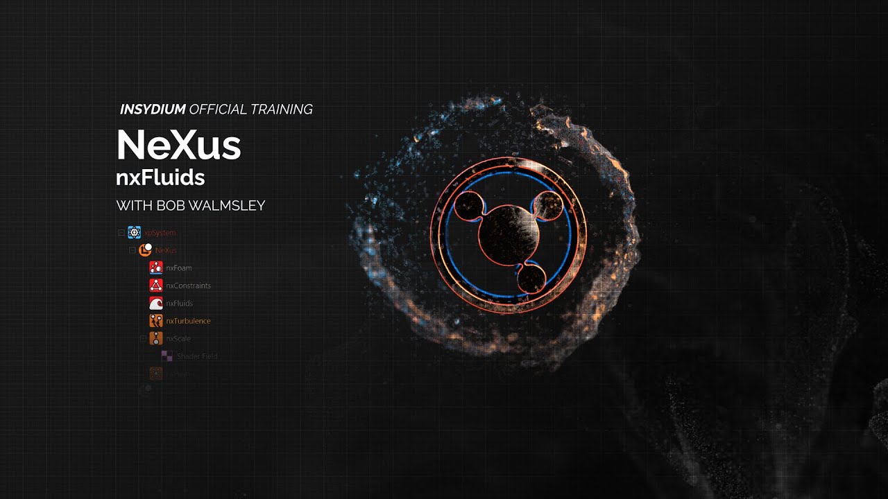 INSYDIUM Official Training - nxFluids Tutorial 2022