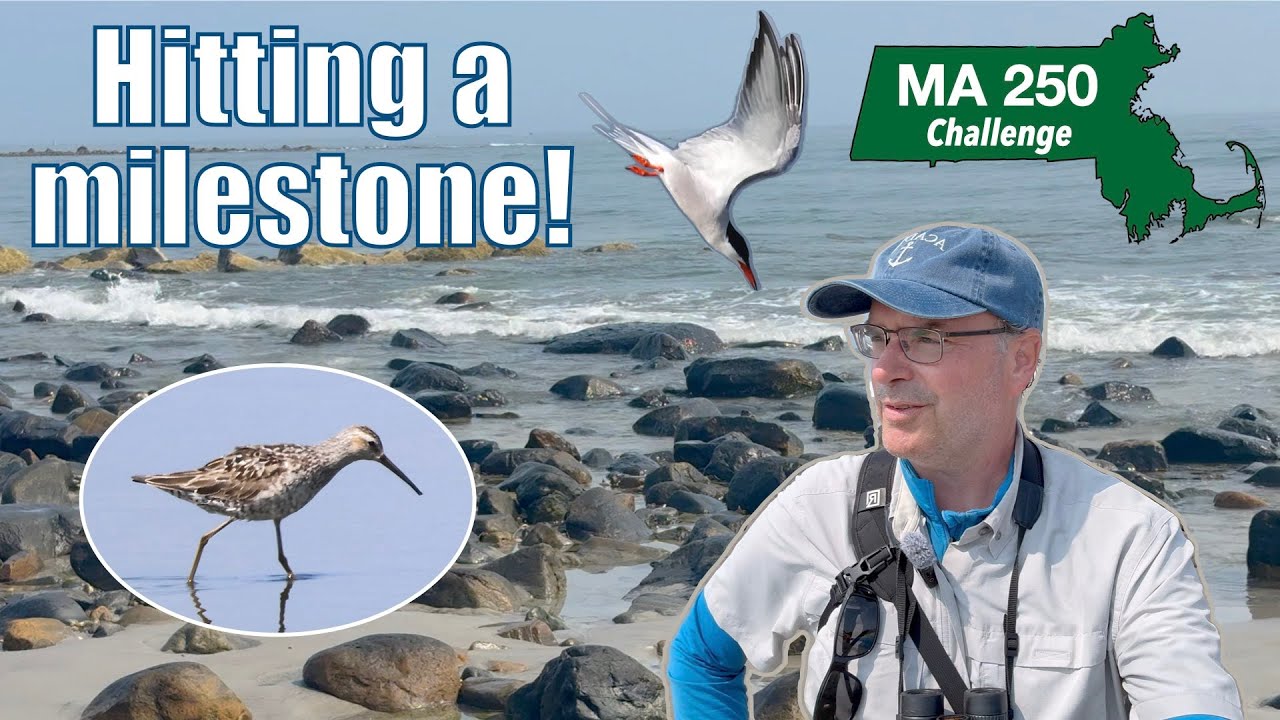 My 2025 birding challenge hits a milestone!