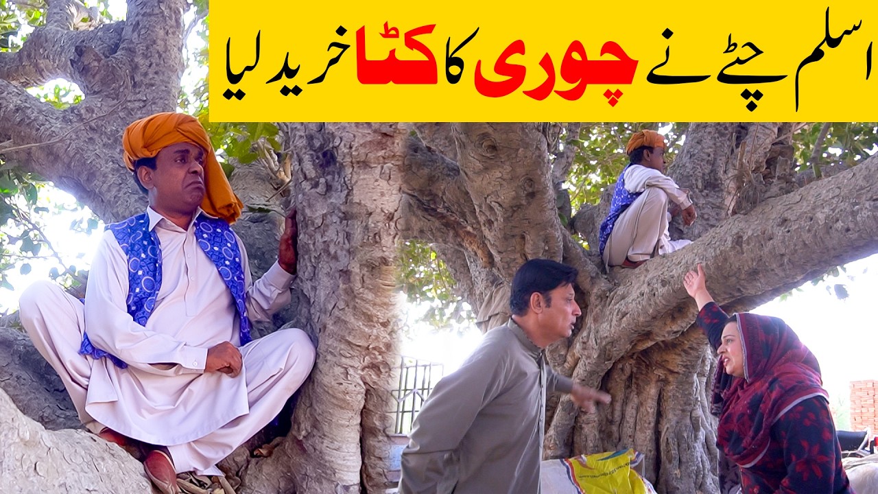 Aslam Chitta New Comedy Video 2026 | Standup Comedy By Aslam Chitta | #Comedy #2026