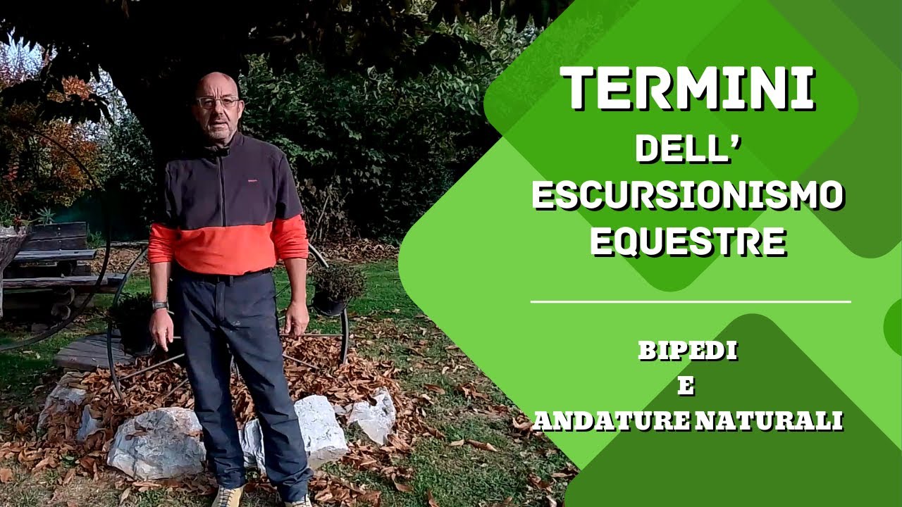 Terminologie #3 - Bipedi e Andature Naturali