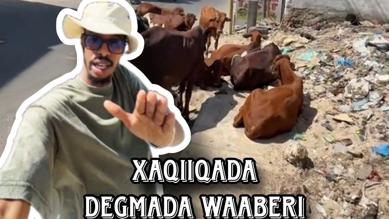 degmada waaberi sida ay dadka u maleyaan iyo? | c/kashka 