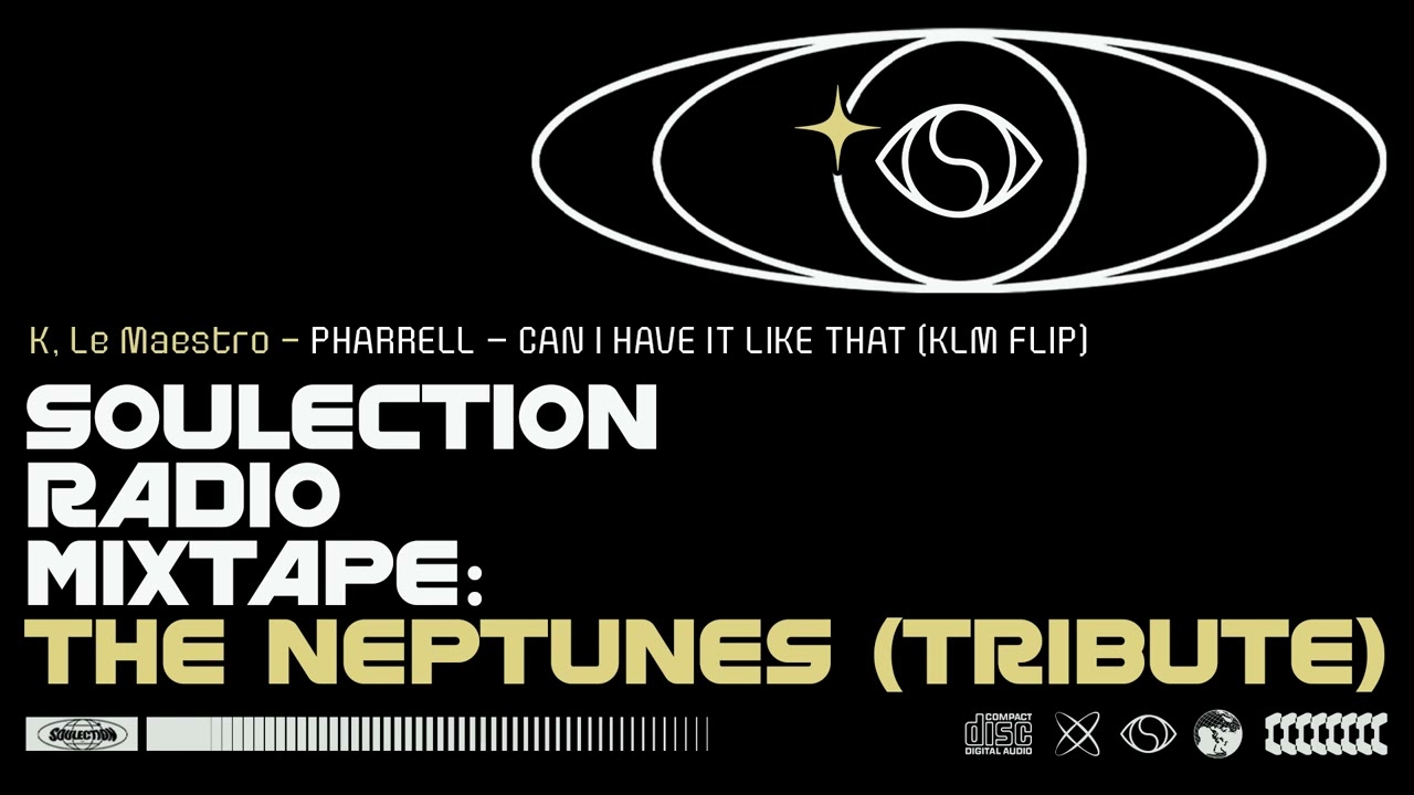 PHARRELL &ndash; CAN I HAVE IT LIKE THAT (KLM FLIP)