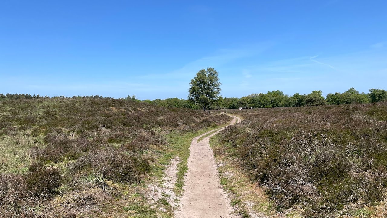 Wandelen over het Pieterpad - etappe 4 - Zuidlaren-Rolde
