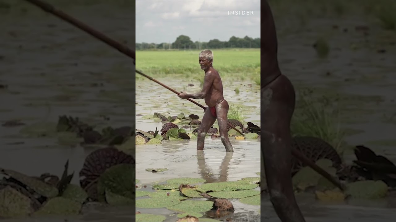 Bihar, India makes 80% of the world’s supply of fox nuts. 