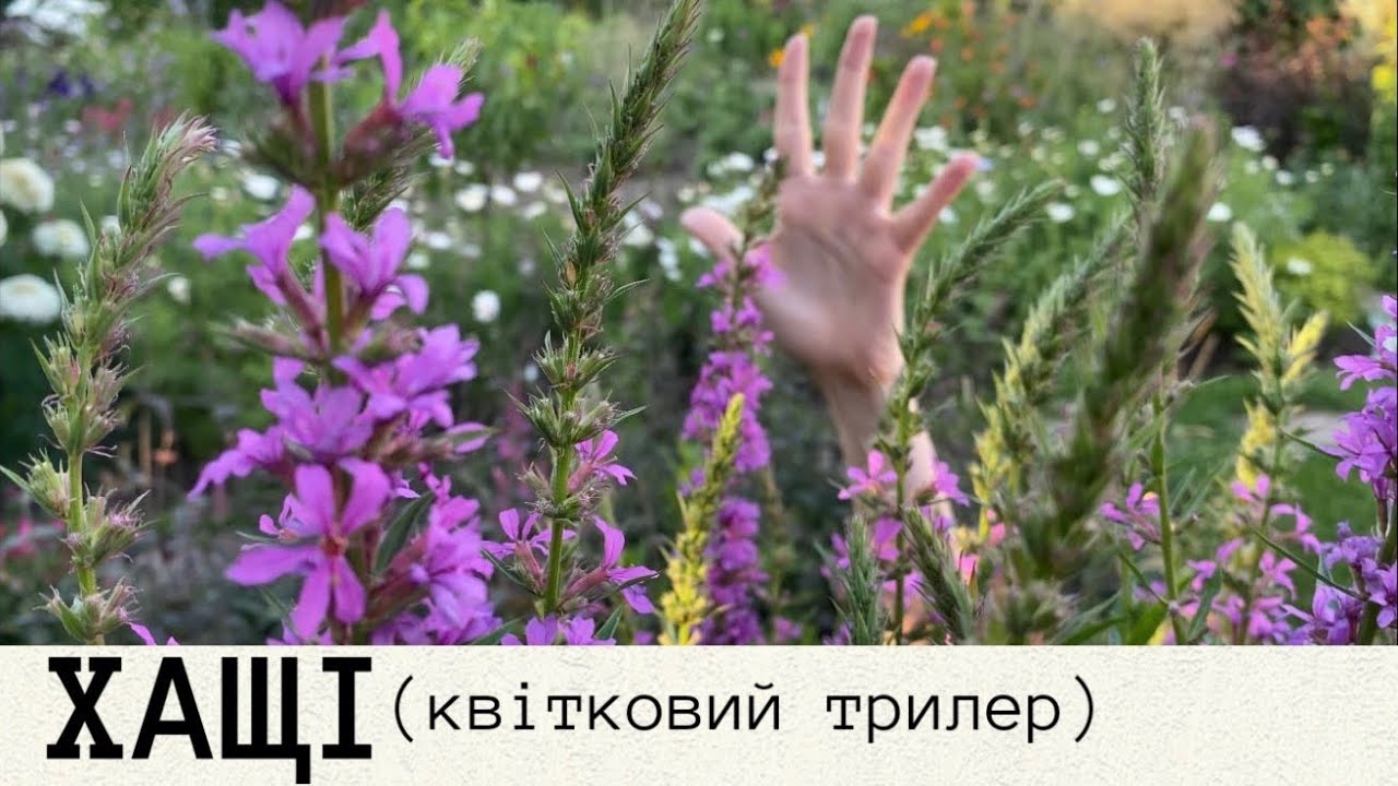 Щільні насадження рослин • Квіти для природнього стилю