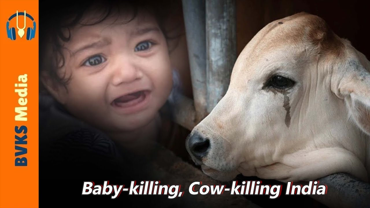 Baby-killing, Cow-killing India