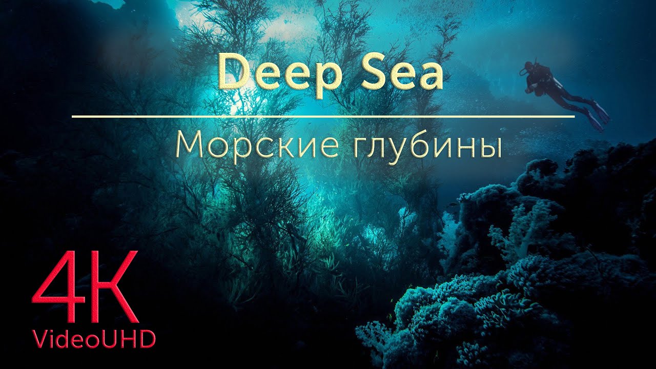 Deep Sea Abyssal Depths Relaxation Film With Calming Music video in 4K| Морские глубины