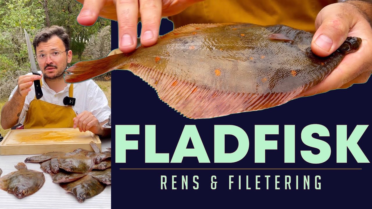 KOKKESKOLE Episode 2 - Rensning & filetering af FLADFISK