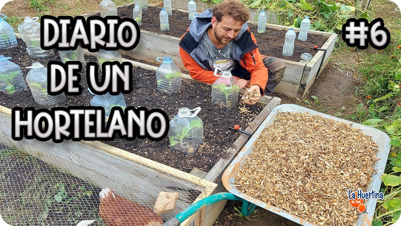 Diario De Un Hortelano #6 - Acolchar En El Huerto Y Mi Biotrituradora || La Huertina De Toni