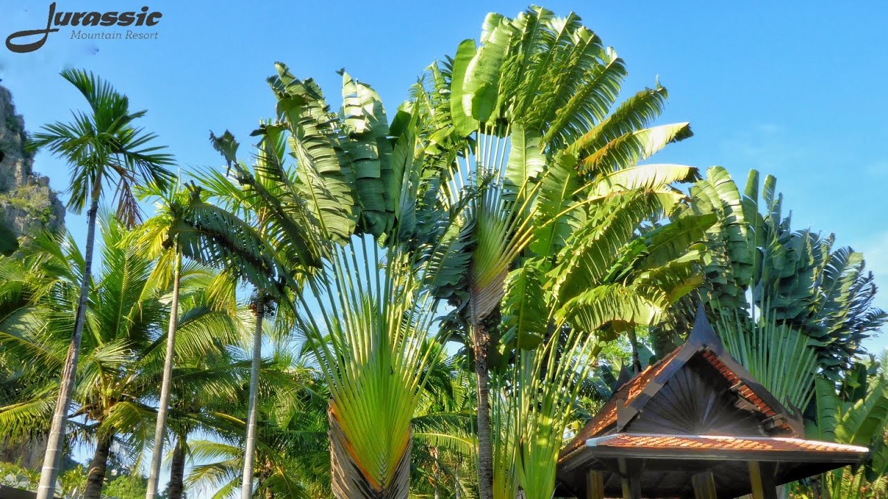 Jurassic Mountain Resort and Fishing Park Grounds