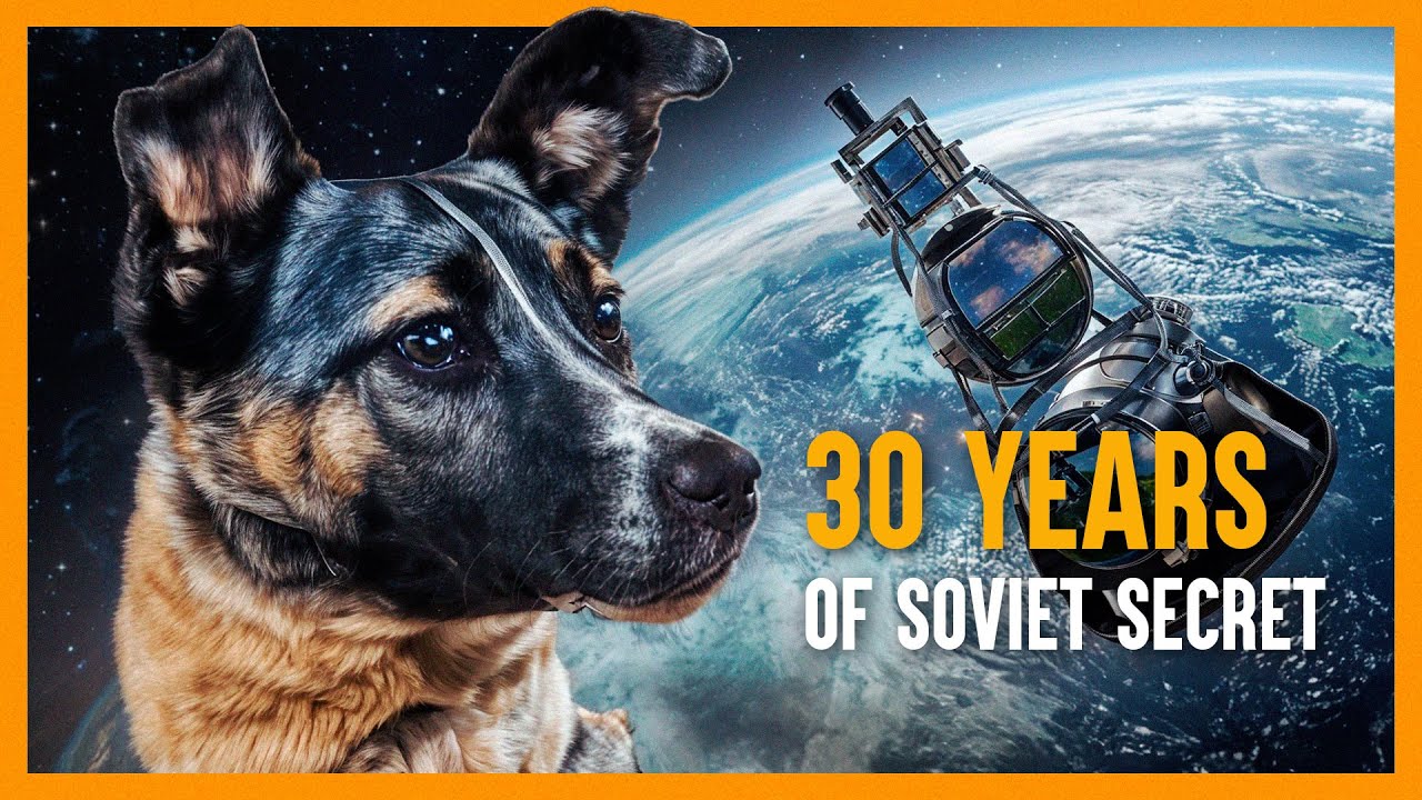 LAIKA: The Real Story of the Space Dog 🐕​🚀​