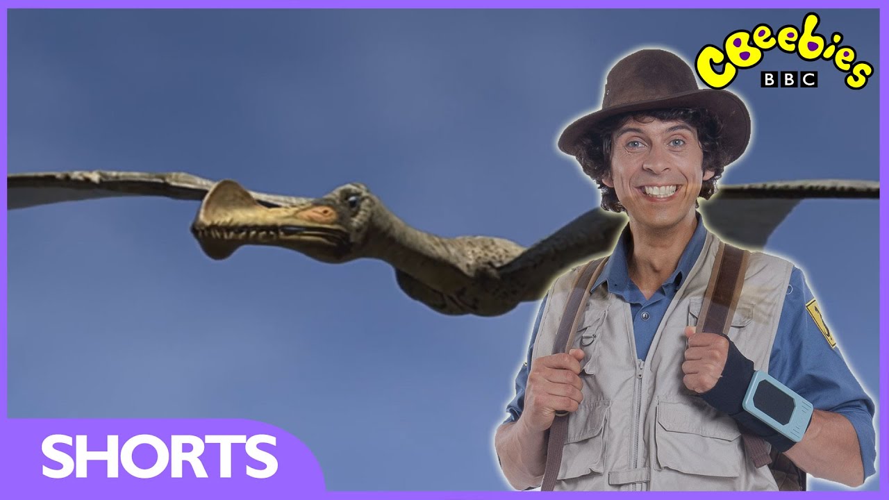 Ornithocheirus Facts | Andy's Dinosaur Adventures | CBeebies