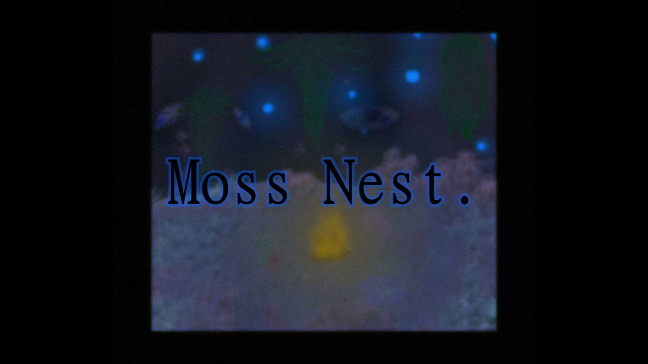 Moss Nest Theme (Song)