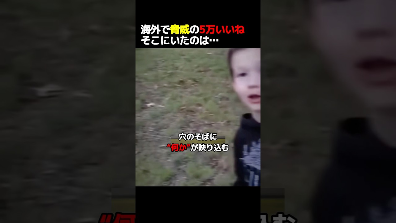 これなんなんだろう&hellip;？#怖い映像 #ホラー #怪現象
