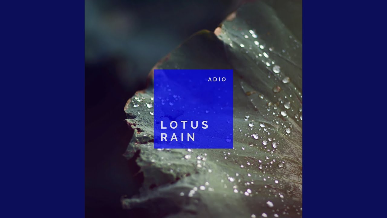 Lotus Rain