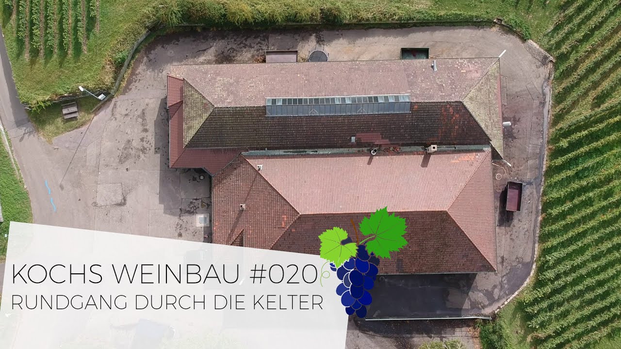 Rundgang durch die Kelter | #020