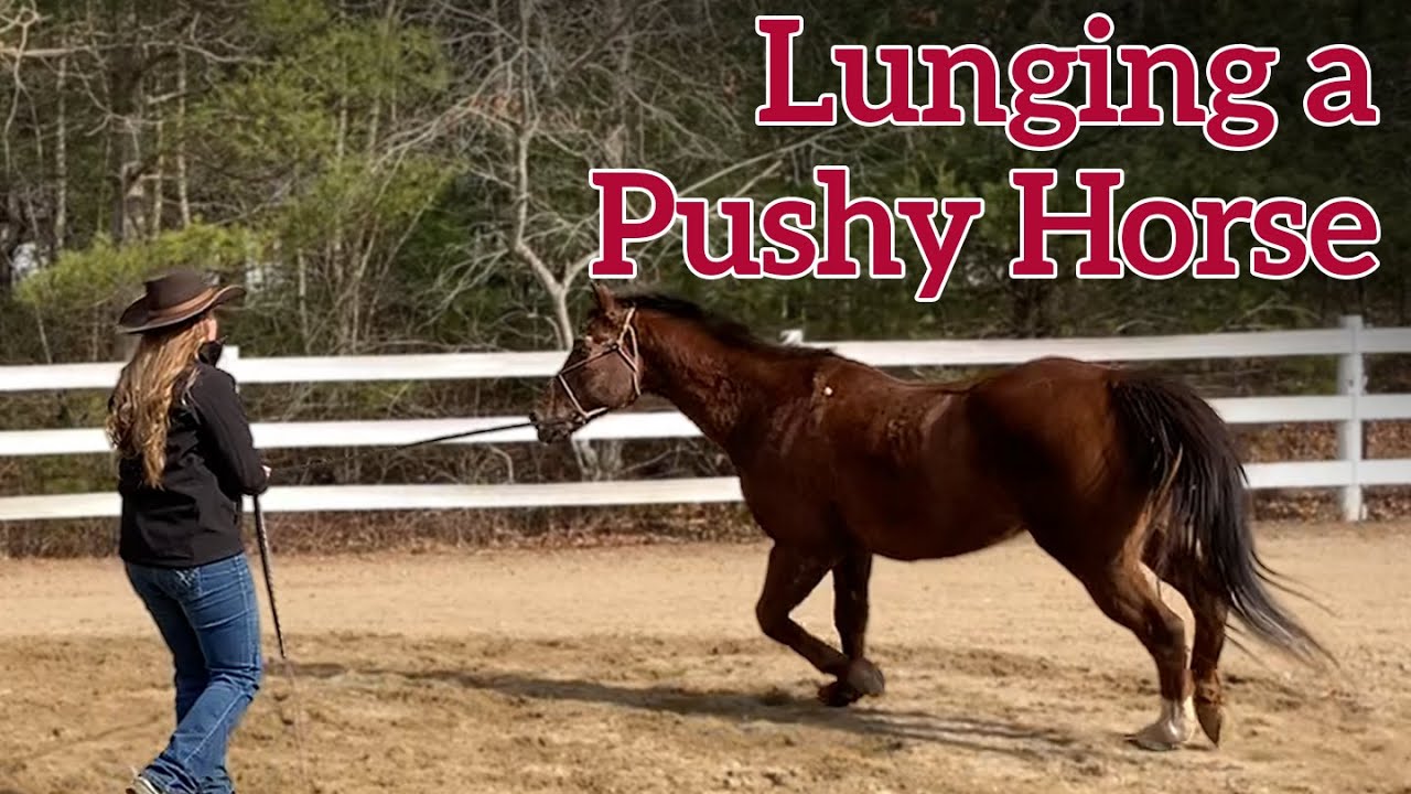 Lunging a Pushy Horse with Lisa Gentile