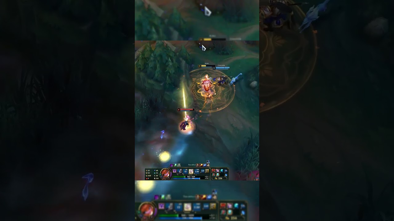 hitbox ? 