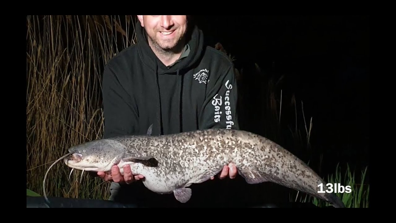 Willowcroft Fisheries - Cafe Lake - Runs Water 24 Hours
