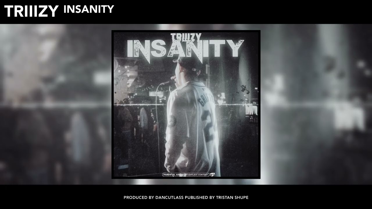TRIIIZY - Insanity (Official Audio) Prod. By @prod.dancutlass 