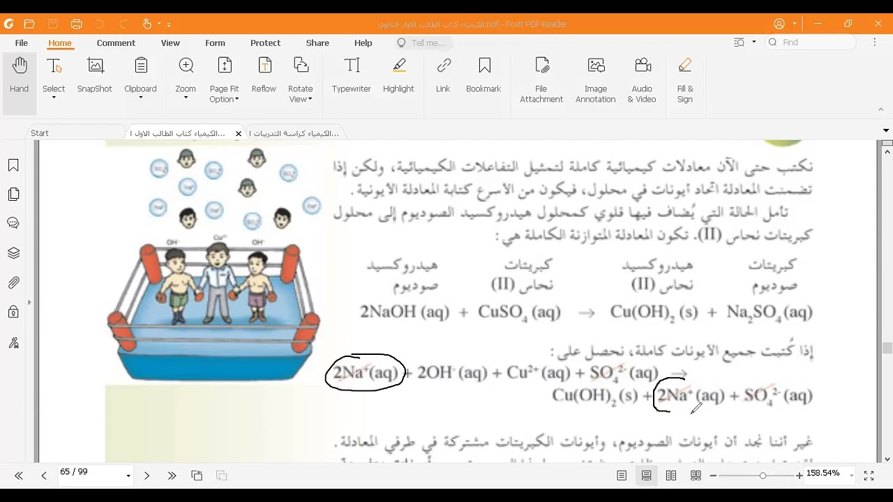 المعادلات الايونية
