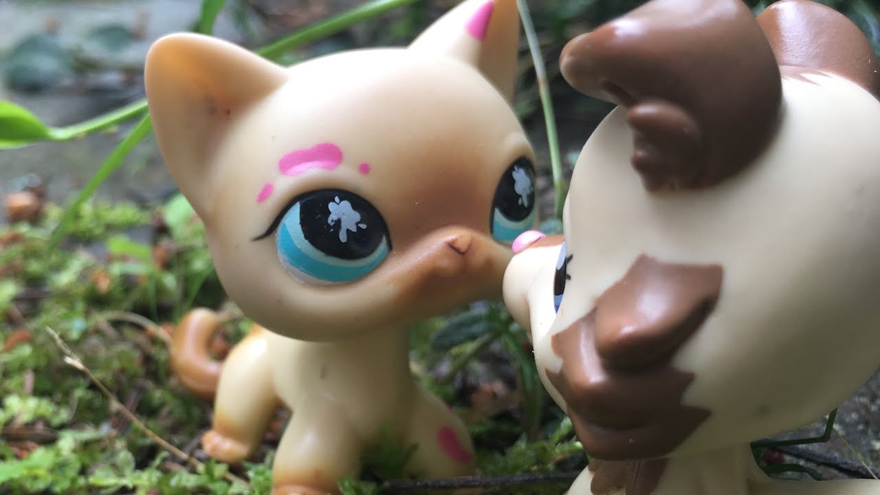 LPS: Květ (film)