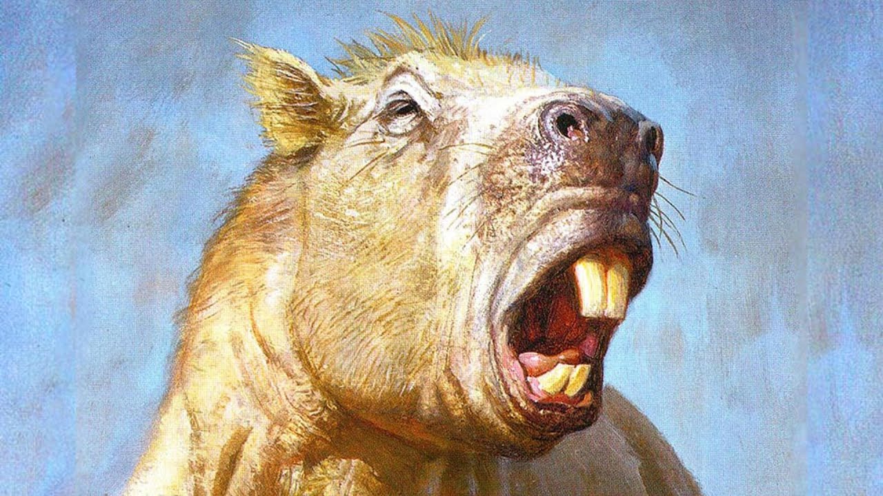 The Biggest Rodent That Ever Lived