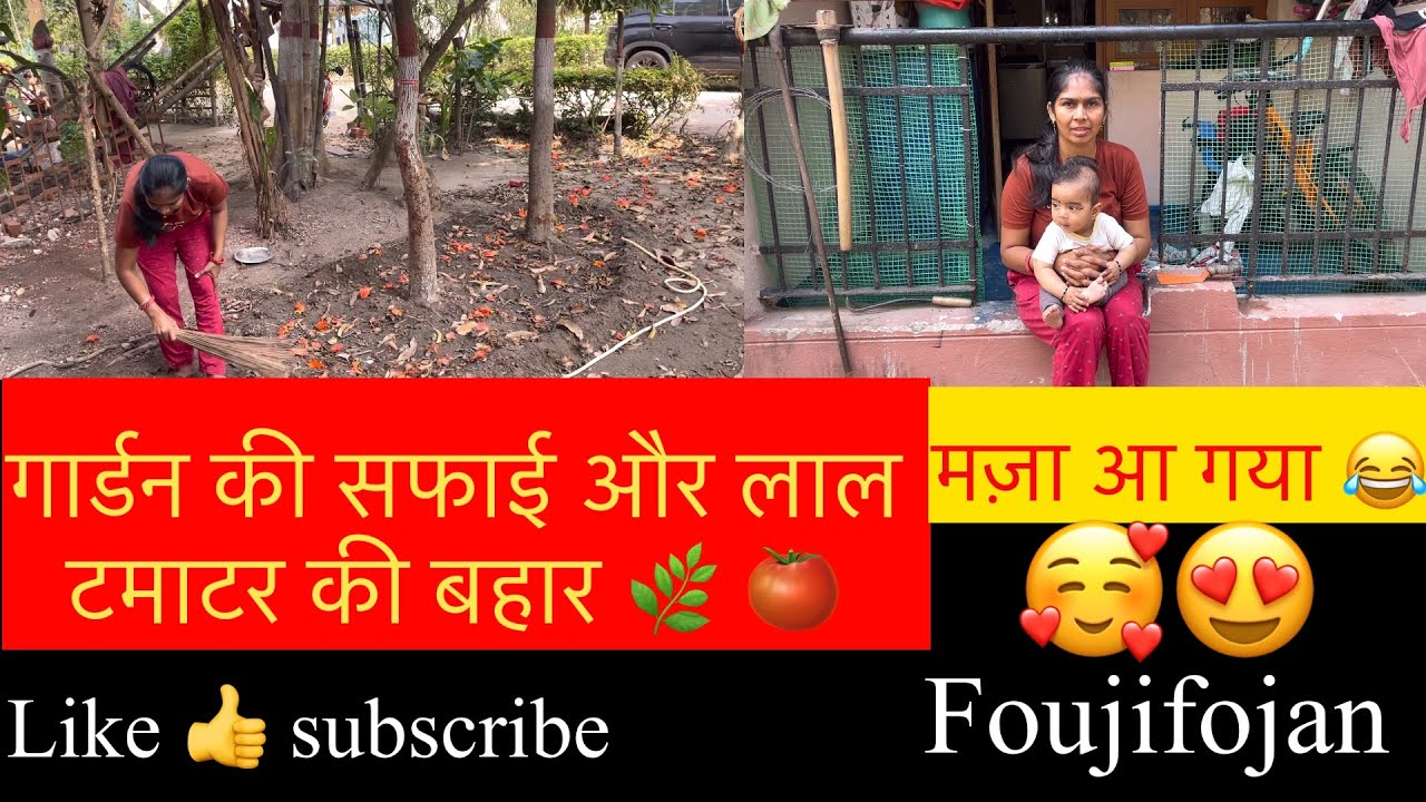 गार्डन की सफाई की और ताज़े टमाटर तोड़े 🍅 | आज की मेहनत रंग लाई | Daily Vlog
