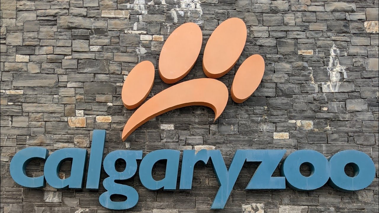 Calgary Zoo Tour: Penguins, Lemurs & Komodo Dragons ... Oh My!